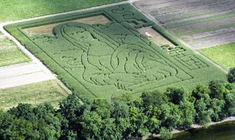 mikes maze 2001